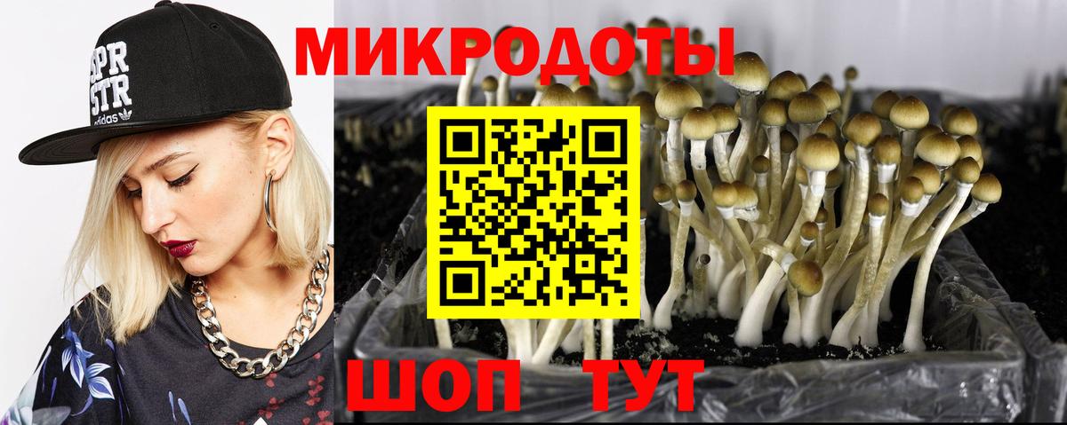 Галлюциногенные грибы ЛСД Дзержинск